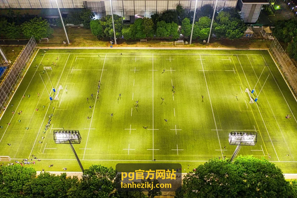 pg官方网站客户端安装向导界面预览