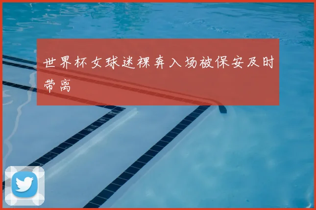 世界杯女球迷裸奔入场被保安及时带离