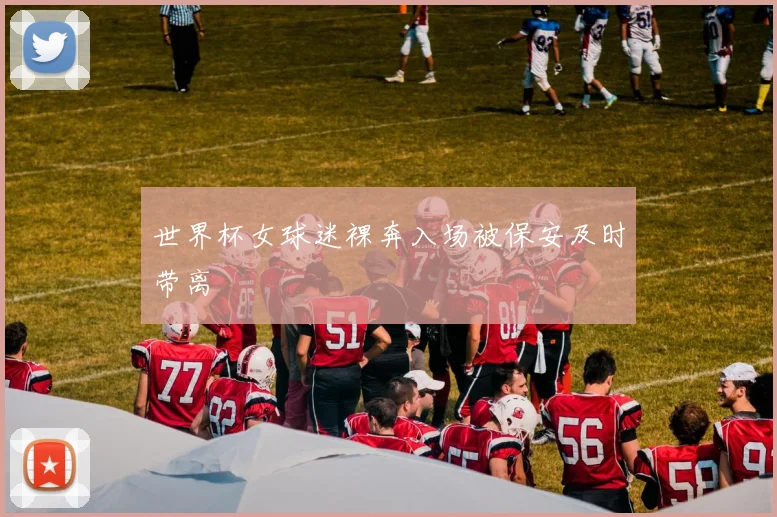 世界杯女球迷裸奔入场被保安及时带离